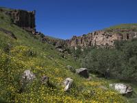 Gelbblühende Hänge und Steilwände in der Ihlara Schlucht